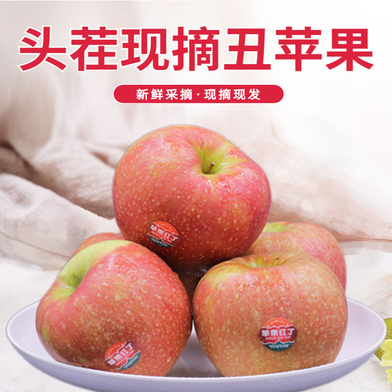 【陕西特产】中国陕西青木森丑苹果5斤装/箱 酸甜味新鲜苹果现摘现发