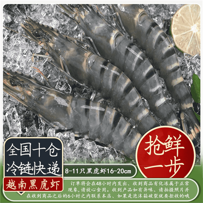 越南黑虎虾 500g/盒  10-11条装 16-20cm海捕大虾