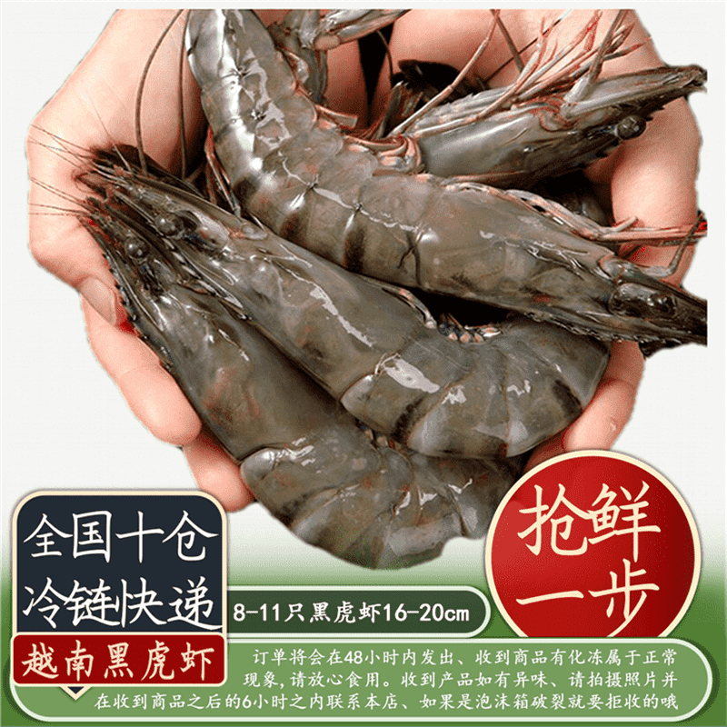 越南黑虎虾 500g/盒 12-15条装 海鲜食材 12-16cm长大虾