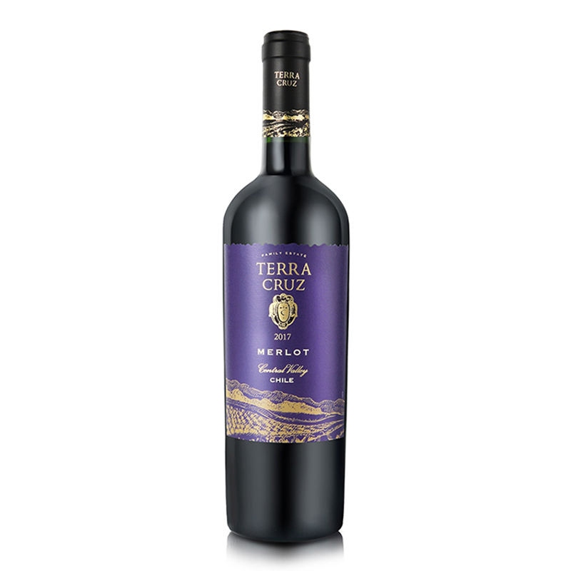 智利 特拉赫鲁兹 梅洛 干红葡萄酒 750ml/支